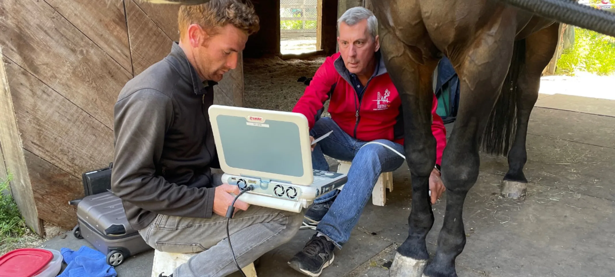 Two Veterinarians Performing an Ultrasound on a Horse at Bayhill Equine